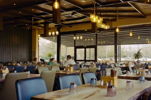 Çok Şubeli Restoran Yönetimi Stratejileri